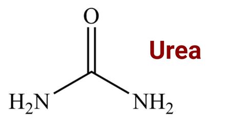 Urea Meaning: Definition, Production, and More - Verywell …