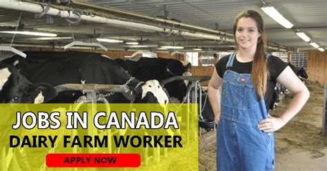 Urgent! Dairy farm jobs in United Kingdom - March 2024 - 2925 …