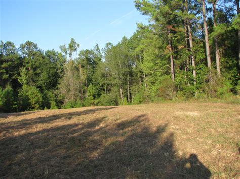 Uriah, AL Land for Sale - 47 Listings LandWatch