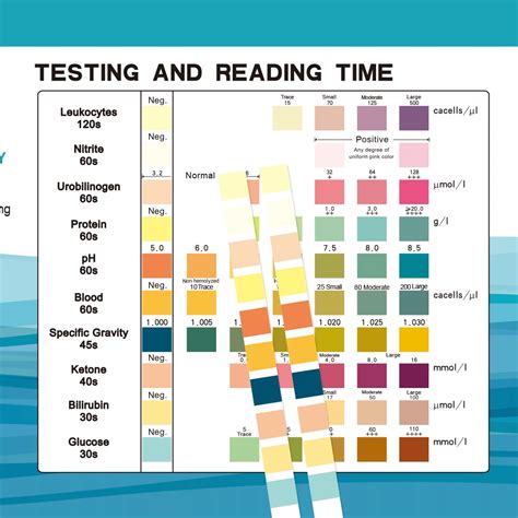 Urinalysis Test Strip Color Chart