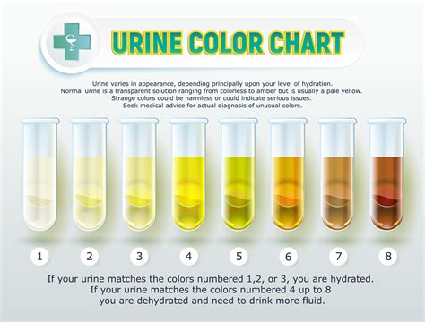 Urine Color Chart, What Color Is Normal, What Does It Mean