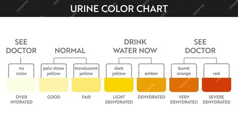 Urine Color Chart Pee Color Chart Water Intake Chart Pee Meaning The