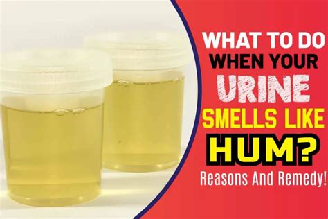 This can lead to urine that smells like rotten eggs (not pleasant at all). “These sulfur compounds evaporate easily out of the urine and float up in the air when you pee, so the odor is pretty .... 
