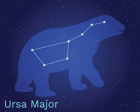 Ursa Major. Ursa Minor. Constellation. Polar Bear. Dots and lines