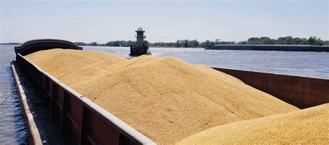 Ursa farmers coop cash grain prices in missouri. An end to droug
