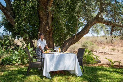 codini.rgarabwor.edu.pl. 