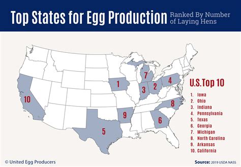 Us egg. Mar 12, 2024 · Units: U.S. Dollars, Not Seasonally Adjusted Frequency: Monthly Notes: Large white, Grade A chicken eggs, sold in a carton of a dozen. Includes organic, non-organic, cage free, free range, and tradition 
