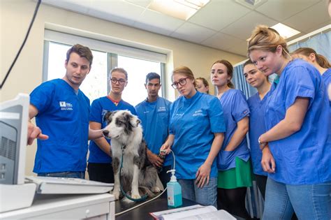 Us vet schools. ... US at one of our partner accredited veterinary programs, PAVE Qualifying Science Exam, sit for the North American Veterinary Licensing Examination (NAVLE) ... 