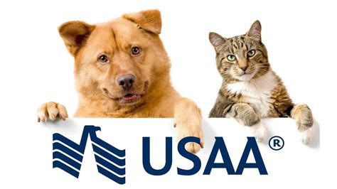 USAA pet insurance is a new product from Embrace Pet Insurance that offers coverage for accidents and illnesses for dogs and cats. It is available to military members and their families, with discounts up to 25% and special benefits for active-duty military. The plan has two options: Accident & Illness or Accident-Only, with different reimbursement rates and limits. . 