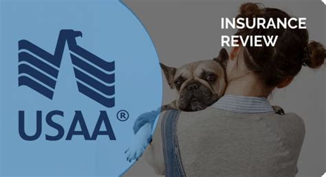 Dec 01, 2023 9 Best Pet Insurance Companies Of December 2023 If your pet has a health problem like a seizure or a broken paw, a visit to the emergency room could wind up costing you thousands of ...