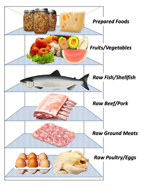 Usda Meat Storage Chart