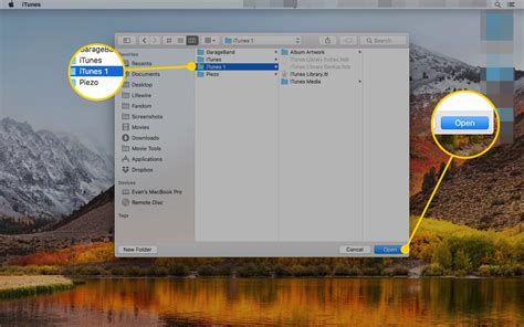 Use Multiple iTunes Libraries on One Computer