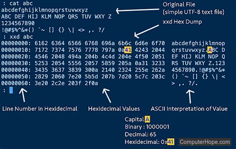 Use XXD Command in Linux