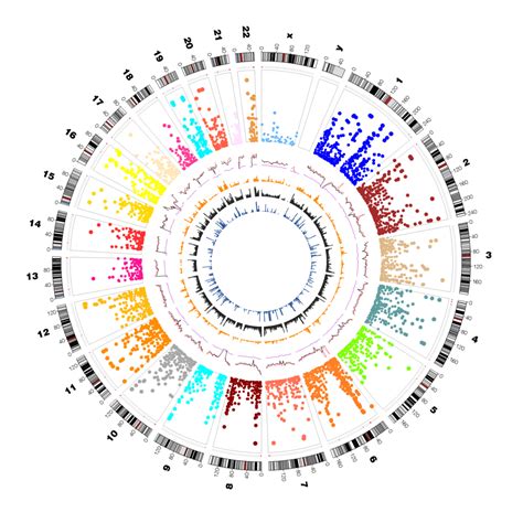 Use of R in Genome-wide Association Studies (GWASs)