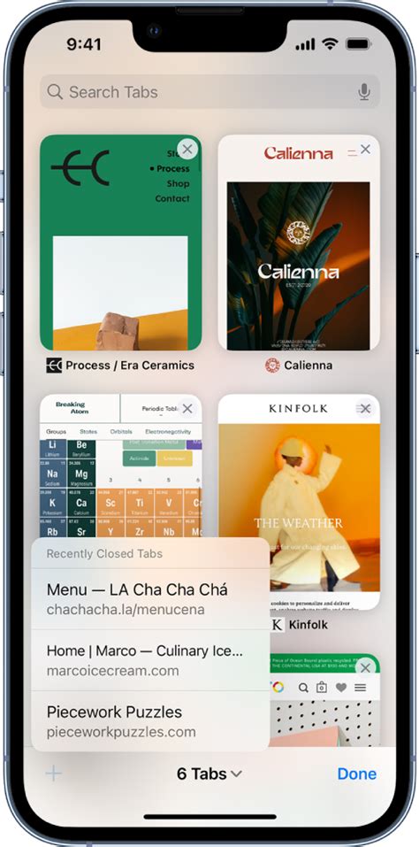 Use tabs in Safari on iPhone - Apple Support