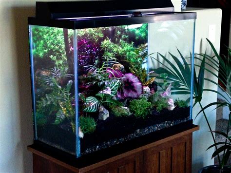 40-50 Gallon Fish Tank Stand with Plant Shelf 