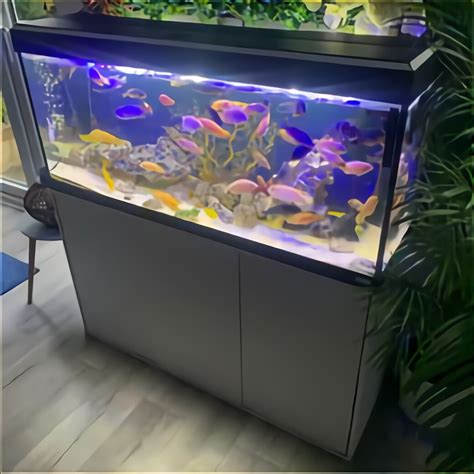 Used fish tank aquarium. Buy Aquarium Tanks and get the best deals at the lowest prices on eBay! Great Savings & Free Delivery / Collection on many items. ... New listing Large aquarium fish tank Rectangular - used. £85.00. Collection in person. or Best Offer. aquarium 6ft x 2ft x 2ft . £150.00. Collection in person. 