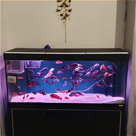 Used fish tanks aquariums for sale. BUY WITH CONFIDENCE - SOLD over 25000 sets ... 222 watching. New listing Ferplast Plastic Fish Aquarium GEO Large Aquarium Tank 6 Container for Small An. £21.73. Free postage. Plastic Fish Tank with Handle | Aquarium, Terrarium | Choose Size & Colour. £11.95 to £14.95. Free postage. 97 sold. large aquarium fish tank used. £75.00. 