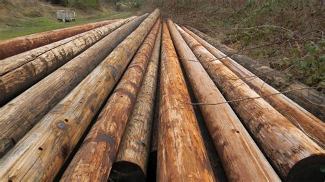 Used telephone poles for sale. Utility companies are the best source for obtaining free telephone poles or, at least, picking up a large number of poles at a low price. Your local utility companies routinely replace used poles and either send them to a recycler or sell them wholesale. 