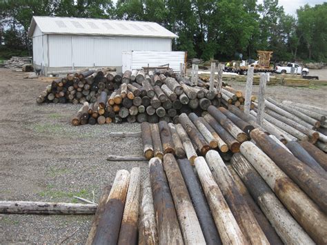 20 used utility poles and 20 new utility poles (with creosote) for testing. The poles were southern yellow pine wood, which is the most common wood used for utility poles in the United States.. 