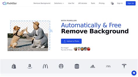 Uselepe umuthi.  PixMiller is a powerful AI tool that automatically removes back...