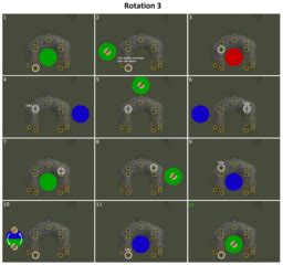 User:Pharros/Zulrah/Strategies/Mage Only - OSRS Wiki