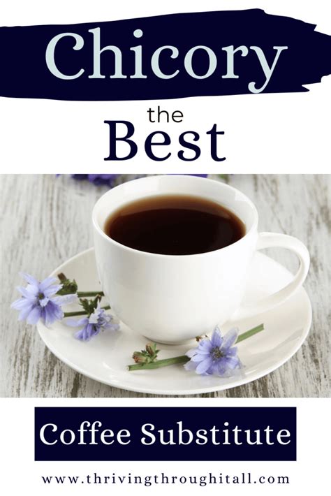 Using Chicory as a Coffee Substitute