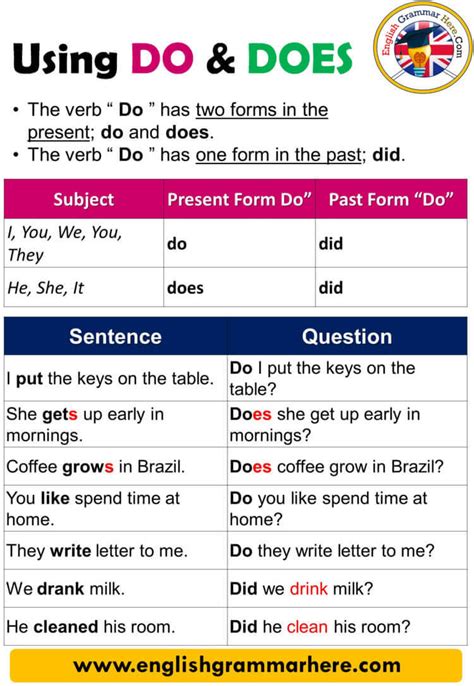 Using Do and Does Definition and Example Sentences USING DO AND DOES