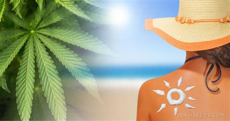 Using Hemp as Sunscreen: Natural Sun Protection?