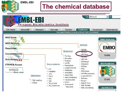 Using MSDchem to search the PDB ligand dictionary - PubMed