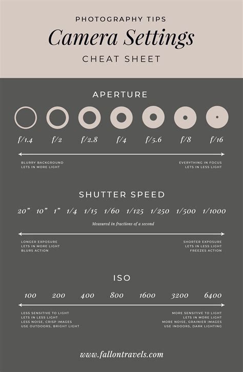 Using Manual Camera Settings
