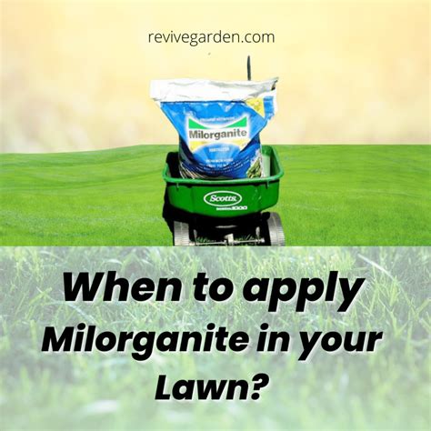 Using Milorganite on Bananas-For the Ultimate Growth! - Houzz