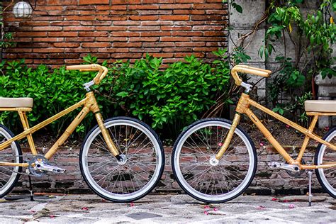 Using Native Bamboo for Sustainable Bicycle Transportation