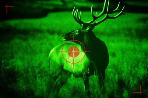 Using Night-Vision for Hunting and Defense - An Official …