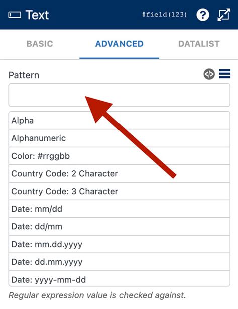 Using RegEx Pattern Attributes on Field Inputs WS Form