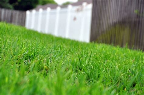 Using Self Storage for Your Lawn Care Business