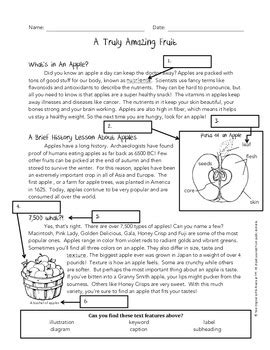Using Text Features Worksheet Apples By Jessica Rivera Tpt