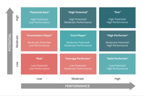 Using The 9Box Grid With The Performance Values Matrix Talent