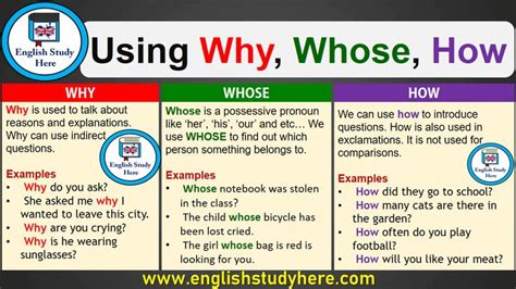 Using Why Whose and How English Study Here English study Nouns