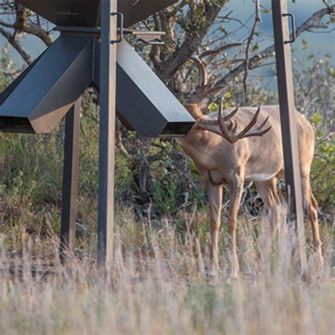 Using Your Deer Feeder Purina Animal Nutrition