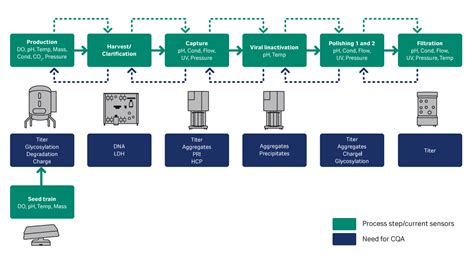 Using in line sensors for real time control Cytiva
