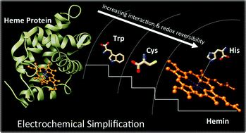 Using porphyrin–amino acid pairs to model the electrochemistry …