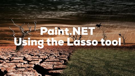 Using the Lasso Selection Tool in Paint NET