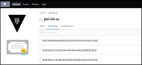 Using the Vault PKI secrets engine to set up a CA to use with the ...