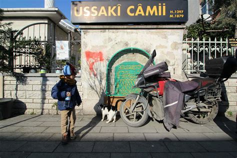 Ussaki Halı ve Koltuk Yıkama