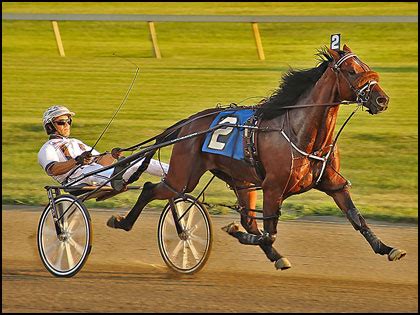 Find out the latest information on harness racing events, entries and results in the United States. Read stories on the Borgata Series, the Breeders Crown and more.. 