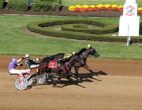Dan Patch 2-Year-Old Pacing Colt of the Year in 2016. . Ustrotting