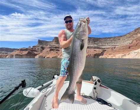 Utah Fishing Report - Facebook