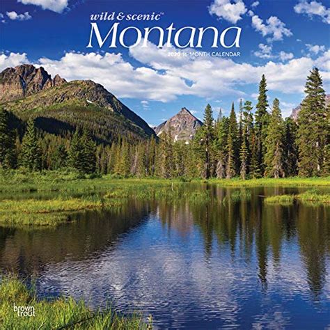 Full Download Utah Wild  Scenic 2020 12 X 12 Inch Monthly Square Wall Calendar Usa United States Of America Rocky Mountain State Nature By Not A Book