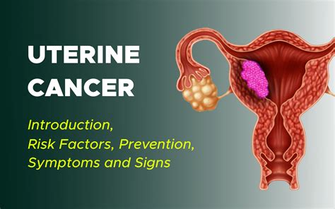 Uterine cancer - Wikipedia